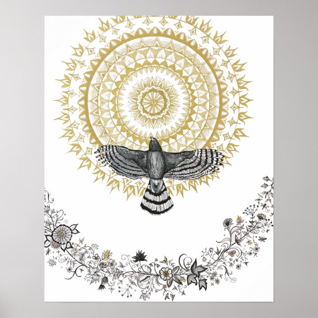 Hawk Dreams Poster (Front)