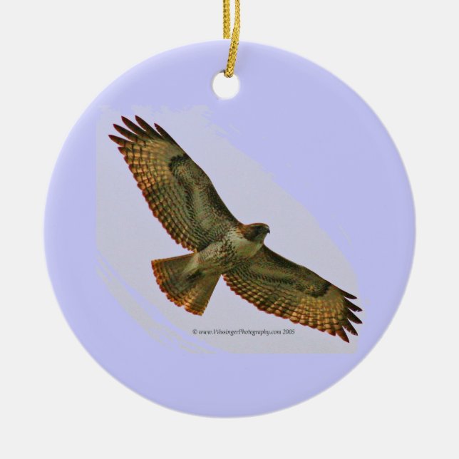 Hawk & Duck holiday ornament (Front)
