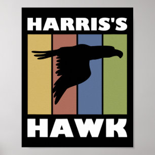 Hawk Falcon Hunter  Poster