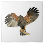 Hawk Flapping Wings Watercolor Painting Ceramic Tile<br><div class="desc">Hand painted watercolor painting of Harris’s Hawk. Also known as bay-winged hawk or dusky hawk. It is perched on the edge of the tree branch opening up its wings. This was painted on arches hot pressed paper.</div>