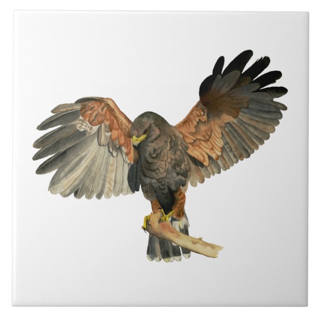 Hawk Flapping Wings Watercolor Painting Ceramic Tile (Front)
