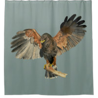 Hawk Flapping Wings Watercolor Painting