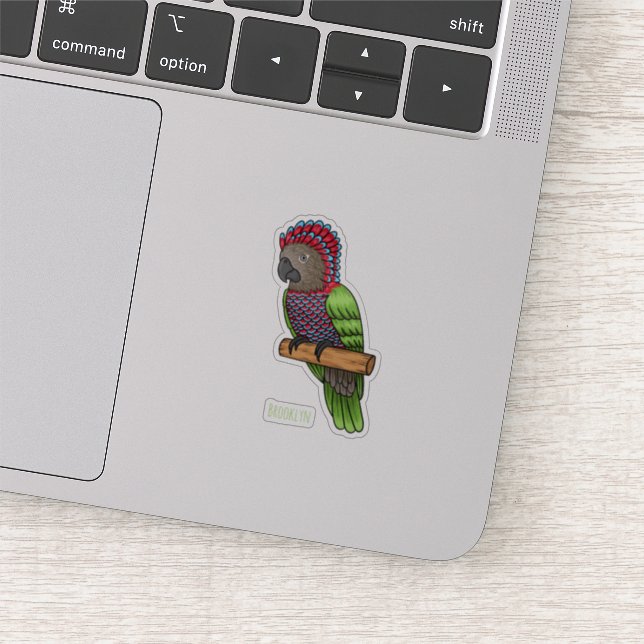Hawk headed parrot bird cartoon illustration (Detail)