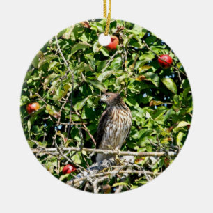 Hawk In Apple Tree Photo Ceramic Ornament