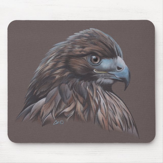 Hawk in Coloured Pencil Mouse Pad (Front)
