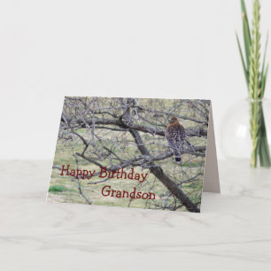 Hawk in tree- customise any occasion card