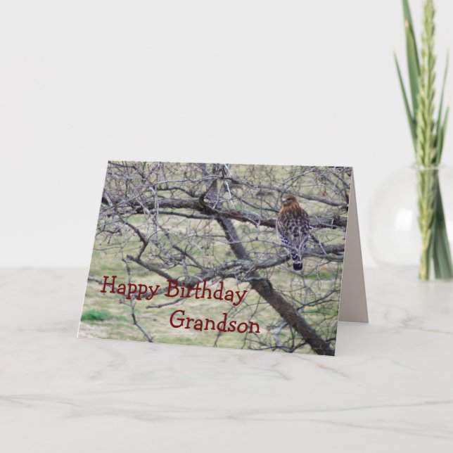 Hawk in tree- customise any occasion card (Front)