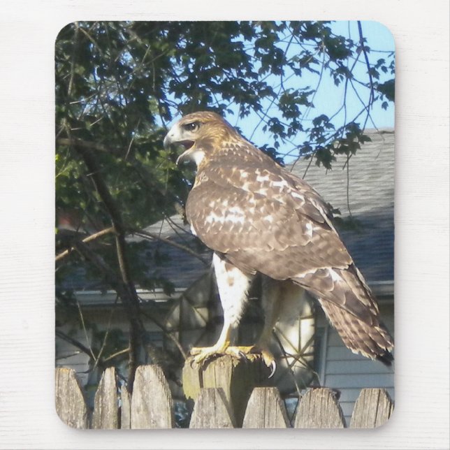 Hawk Mousepad (Front)