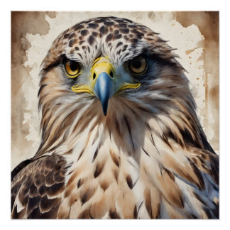 Hawk no 3 Glossy Poster