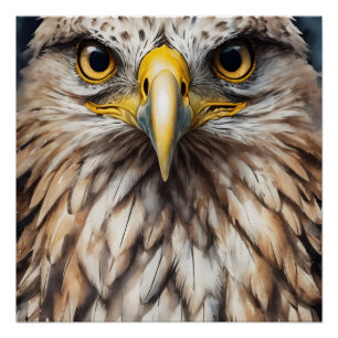 Hawk no 5 Glossy Poster