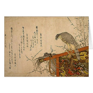 Hawk on Screen Perch