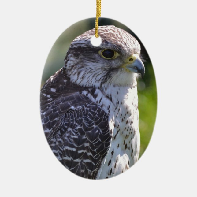 Hawk Ornament (Front)