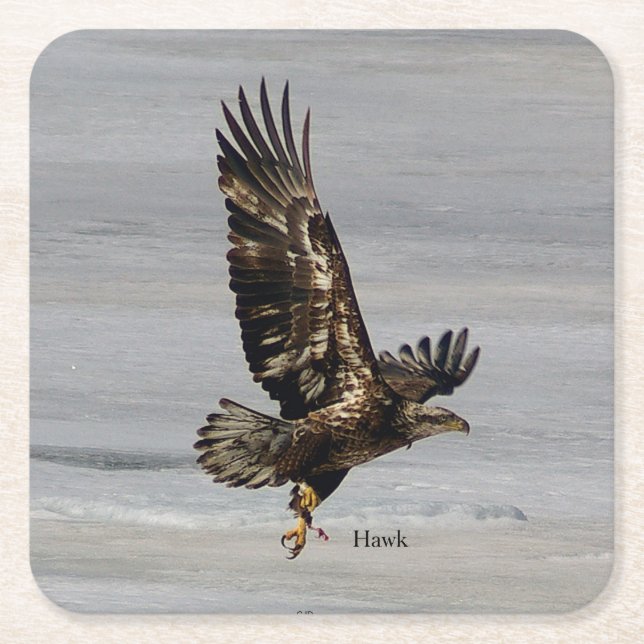 Hawk paper coaster (Front)