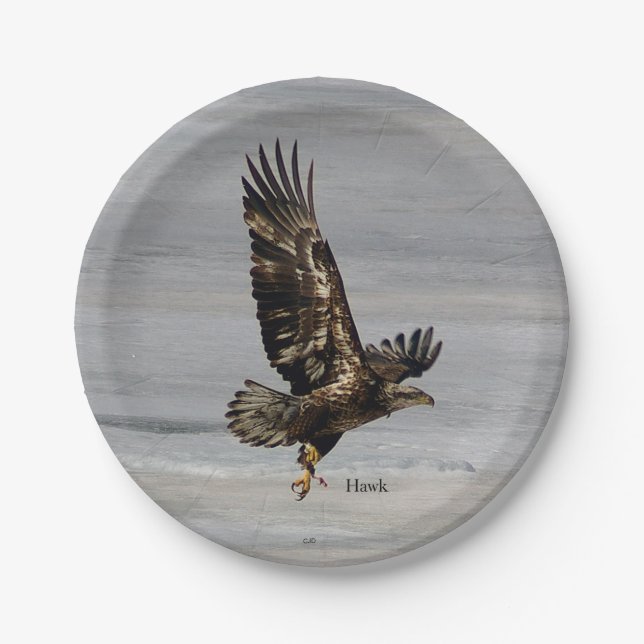 Hawk paper plate (Front)