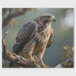 Hawk Perched on Branch Wrapping Paper