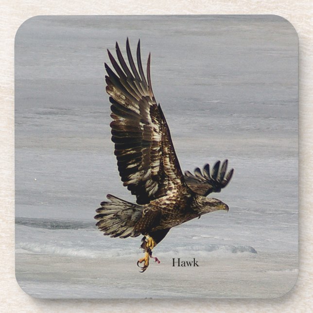 Hawk set of 6 hard plastic coasters (Front)