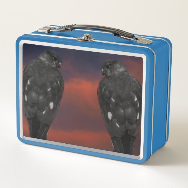 Hawk Storm Metal Lunch Box (Front)