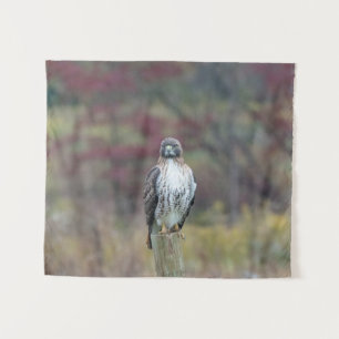 Hawk Tapestry