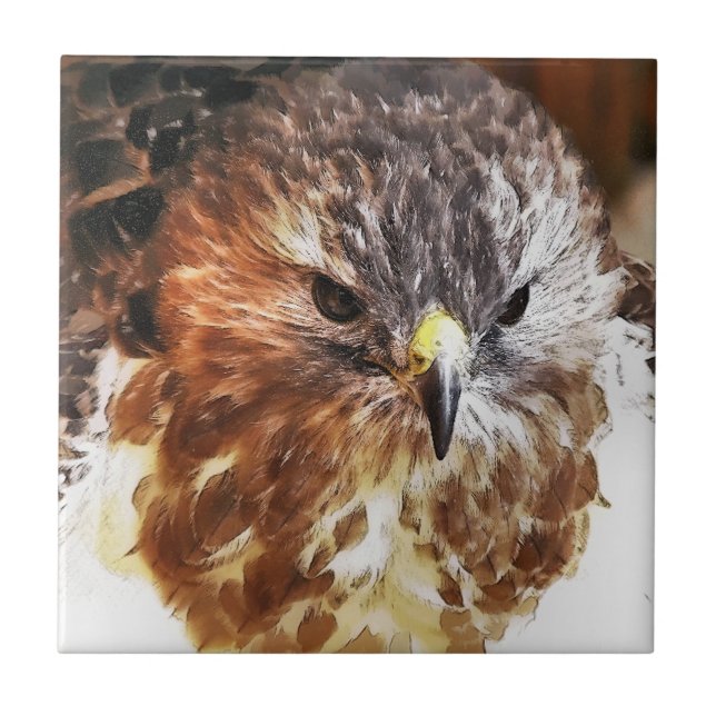 HAWK TILE (Front)