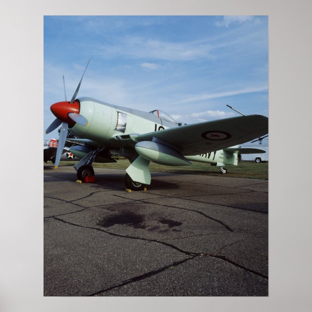 Hawker Sea Fury at CAF, Minnesota Wing, at the 2 Poster (Front)