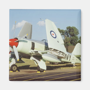 Hawker Sea Fury at CAF, Minnesota Wing, at the Magnet