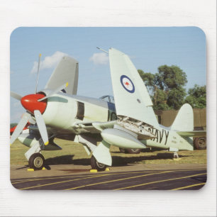 Hawker Sea Fury at CAF, Minnesota Wing, at the Mouse Pad