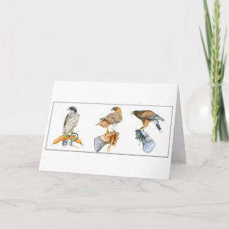 Hawking Studies Birthday Card