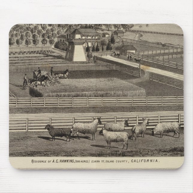 Hawkins, Mayes residences Mouse Pad (Front)