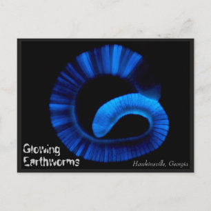 Hawkinsville Georgia US Postcard