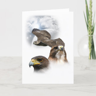 Hawks Holiday Card