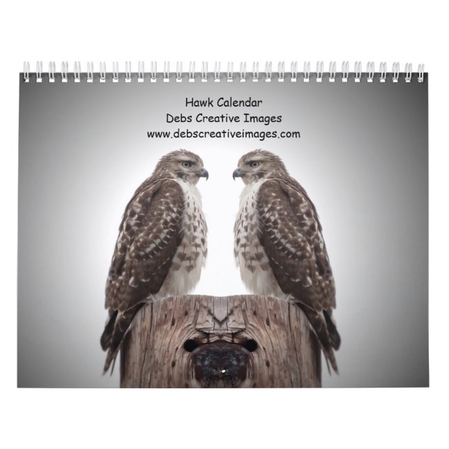 Hawks in the wild 2026 calendar (Cover)