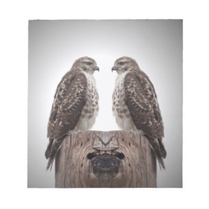 Hawks on a post notepad
