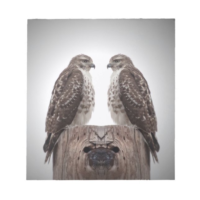 Hawks on a post notepad (Front)