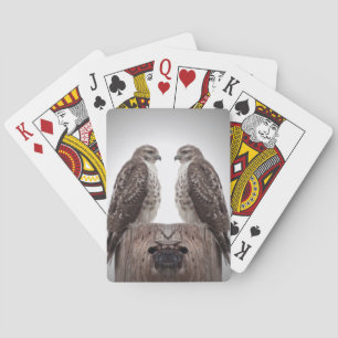 Hawks on a post playing cards