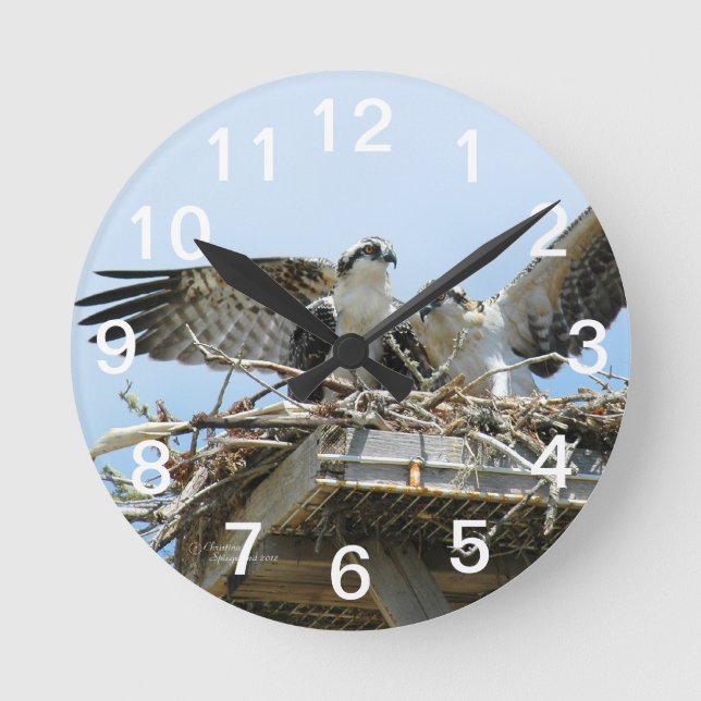 Hawks Ospreys Wall Clock (Front)