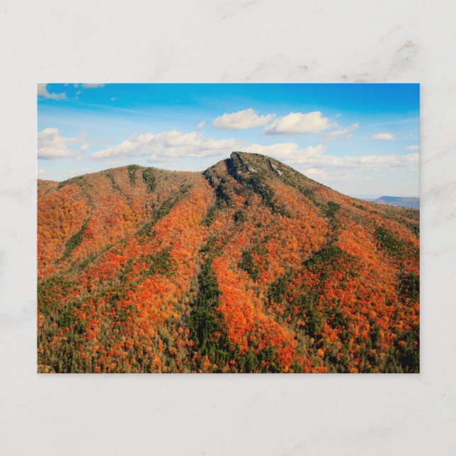 Hawksbill Mountain, Linville Gorge, North Carolina Postcard (Front)