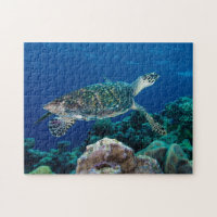 Hawksbill Sea Turtle Great Barrier Reef Coral Gift