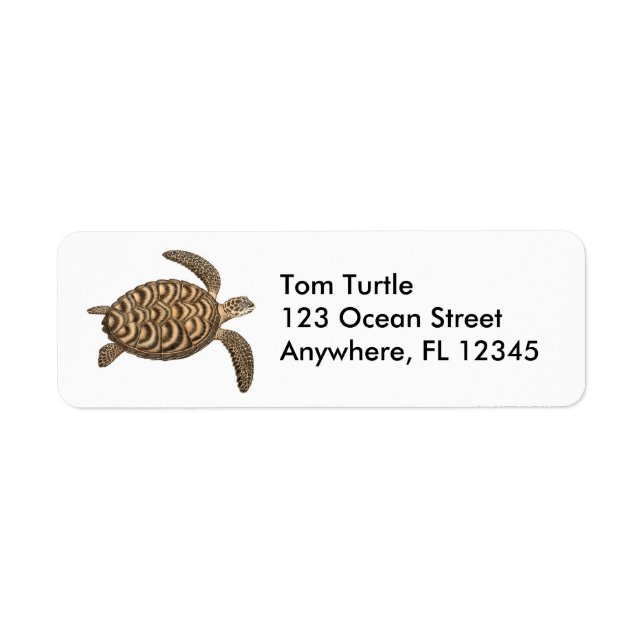 Hawksbill Sea Turtle Label Return Address Label (Front)