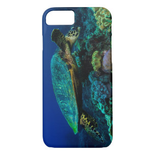 Hawksbill Sea Turtle on the Great Barrier Reef iPhone 8/7 Case