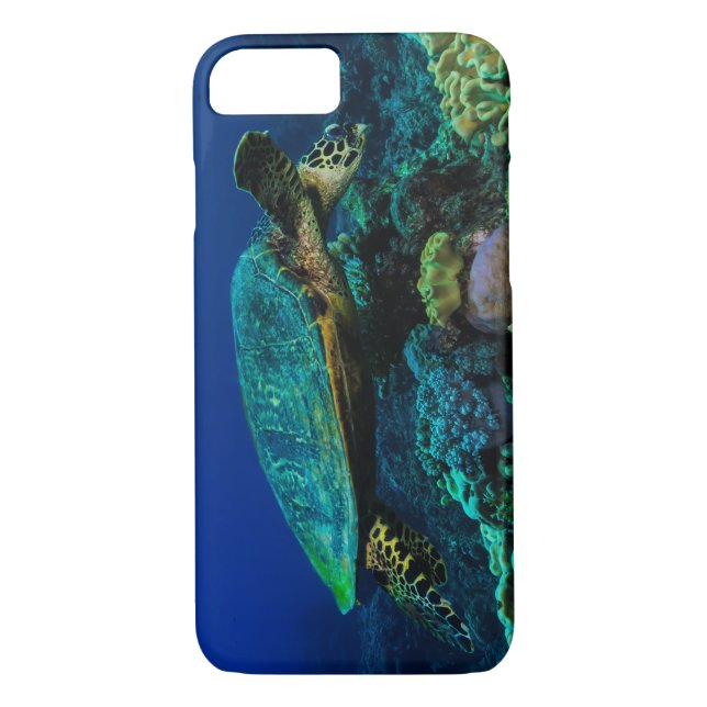 Hawksbill Sea Turtle on the Great Barrier Reef Case-Mate iPhone Case (Back)