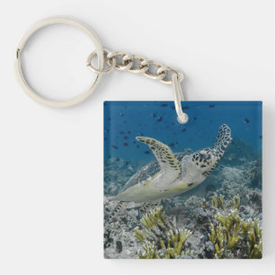Hawksbill Sea Turtle Swimming Key Ring