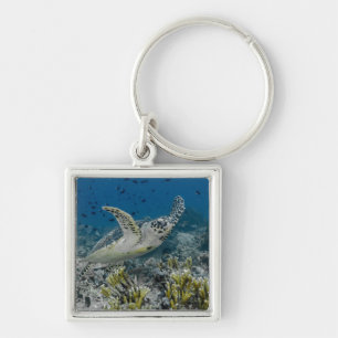 Hawksbill Sea Turtle Swimming Key Ring