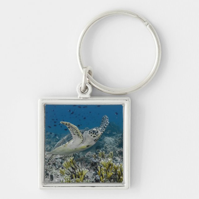 Hawksbill Sea Turtle Swimming Key Ring (Front)