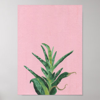 Haworthia Succulent Acrylic Painting Poster