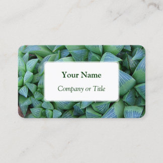 Haworthia Succulent Plant Business Cards