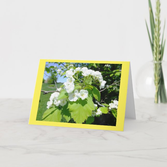 Hawthorn Flowers Blank Note Card (Front)