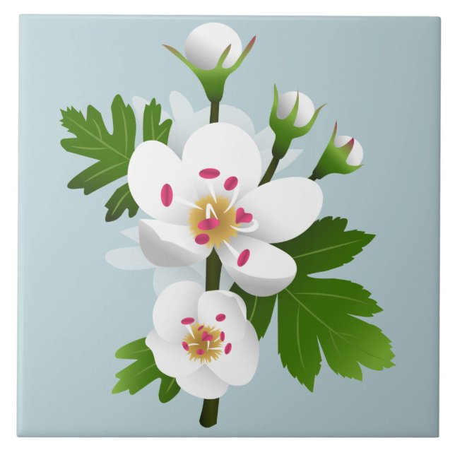 Hawthorn Flowers Ceramic Tile (Front)