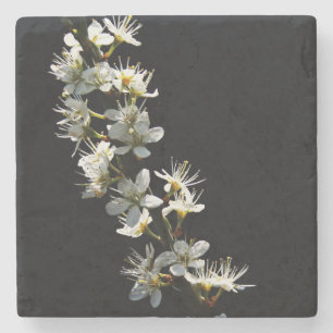 Hawthorn Flowers coastercna Stone Coaster
