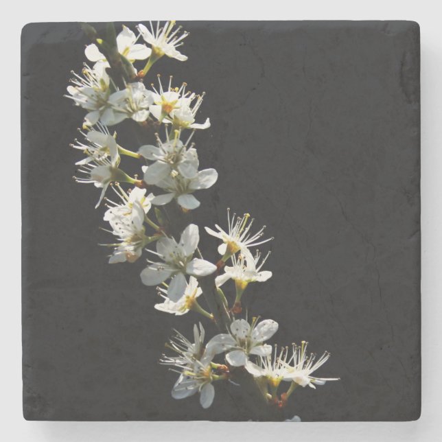 Hawthorn Flowers coastercnm Stone Coaster (Front)