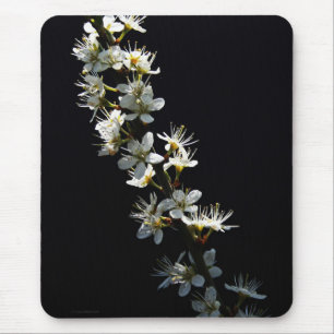 Hawthorn Flowers mpcna Mouse Pad
